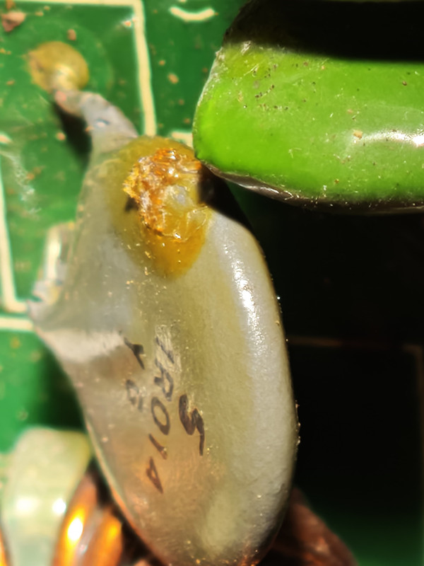 Whats App Image 2026 02 13 at 15 25 21