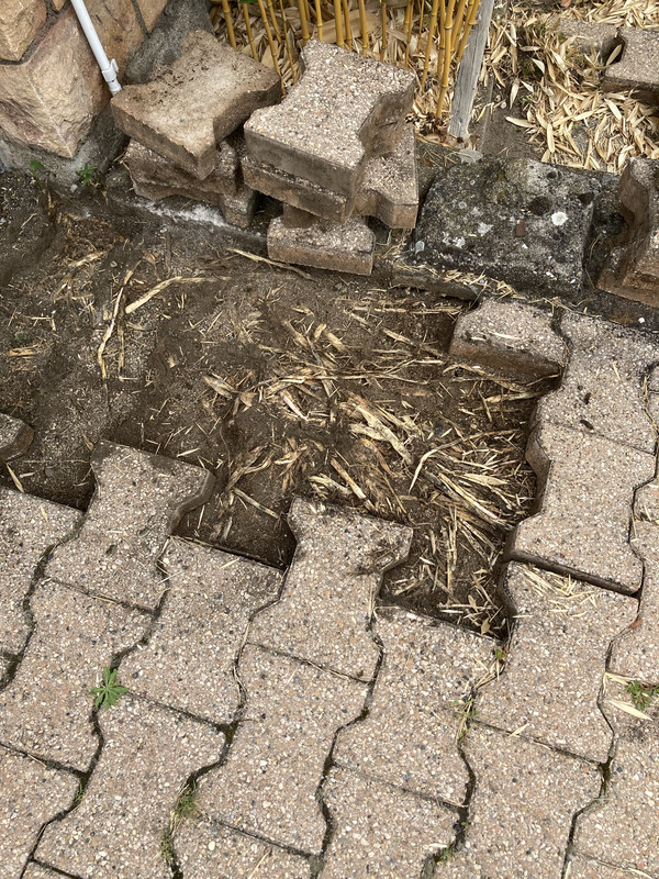 98B81320-5E91-4426-BB8F-8DD1B4E06EAB