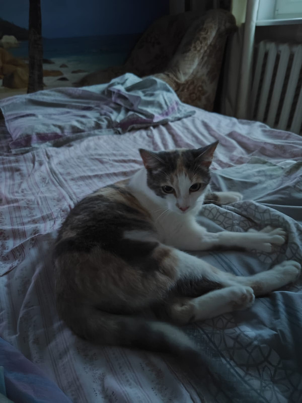 Изображение WhatsApp 2025-08-04 в 21.05.12_b1dd00b5