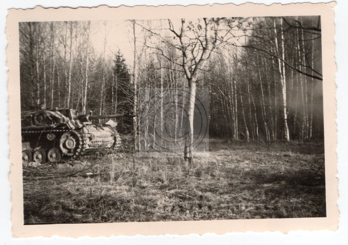 Rußland StuG, Sturmgeschütz, Langrohr, Stellung