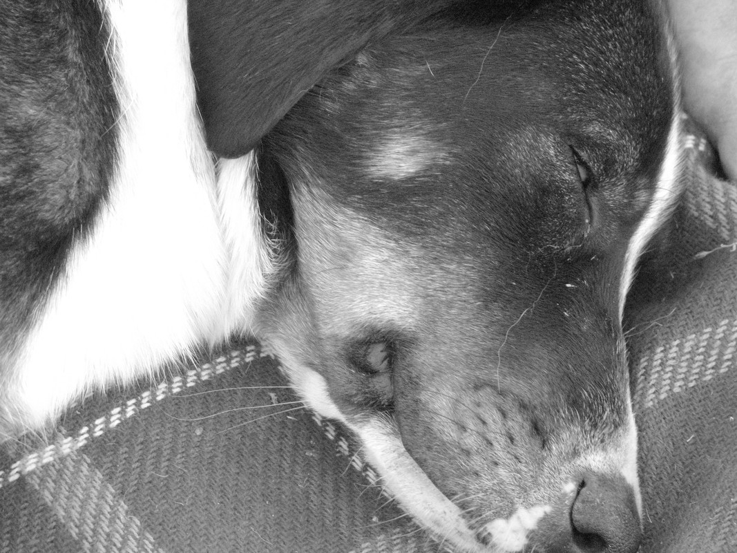 Teknival BG 2013 (118)