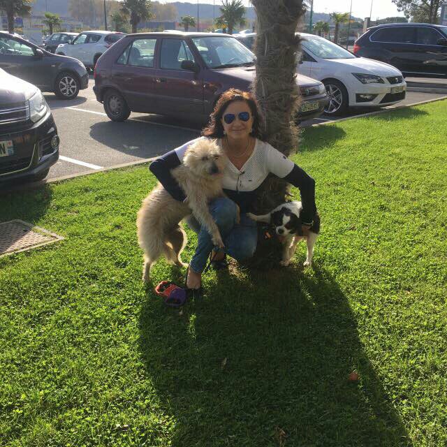 4FB0AC09-B3B2-447D-9245-2E358339C046