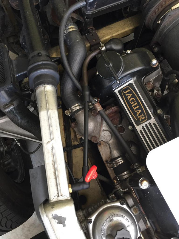 C7A484FB-D57C-452D-A35F-78CE460675A6