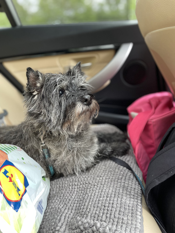 A2F1D50A-CC55-40FD-B9A8-38A93ED87F0D