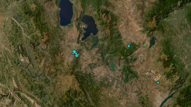 seismos5 04022026