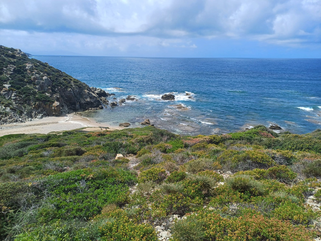 [Obrazek: IMG-20250513-WA0014.jpg]