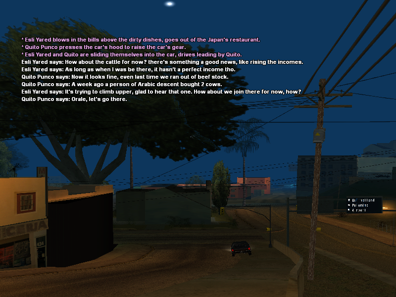 SS30.png
