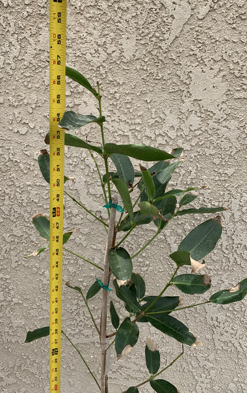 A6BD8B83-EFC1-4AD6-9661-E12FD67E25B7