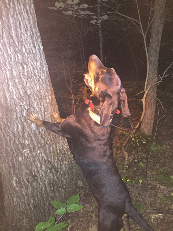 8FAFF202-E381-4302-B201-68B1A36620E7