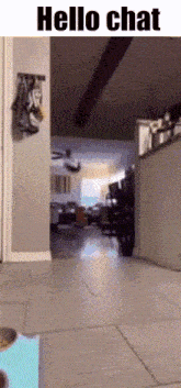 Hello-chat.gif