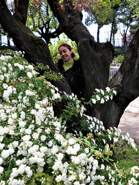 JARDINES CAMPO DEL MORO-29-4-2012-MADRID - Paseando por España-1991/2023 (14)