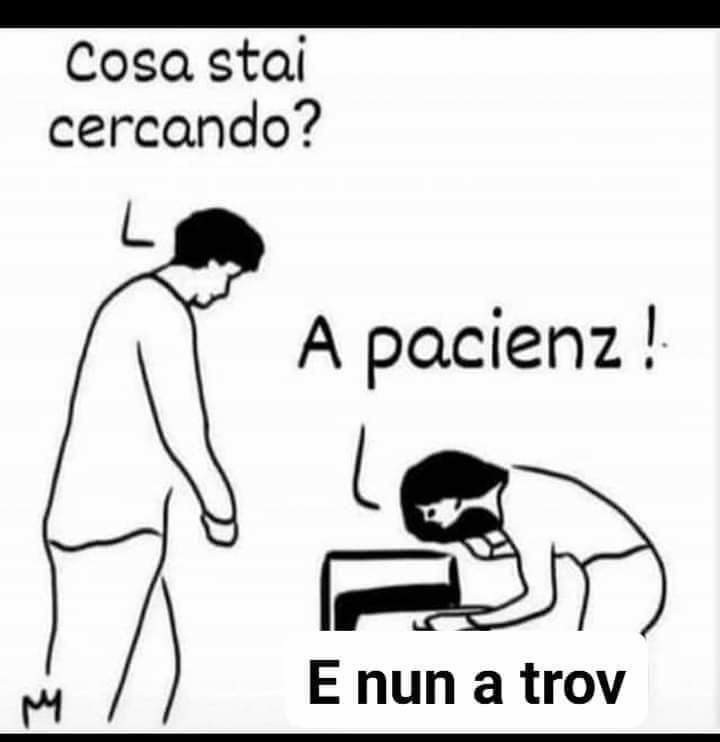 FB_IMG_1694775084528~2