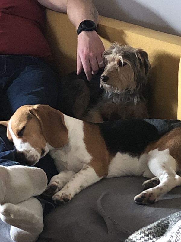 1595F13D-DCC5-4400-B630-CC6CA20B48F4