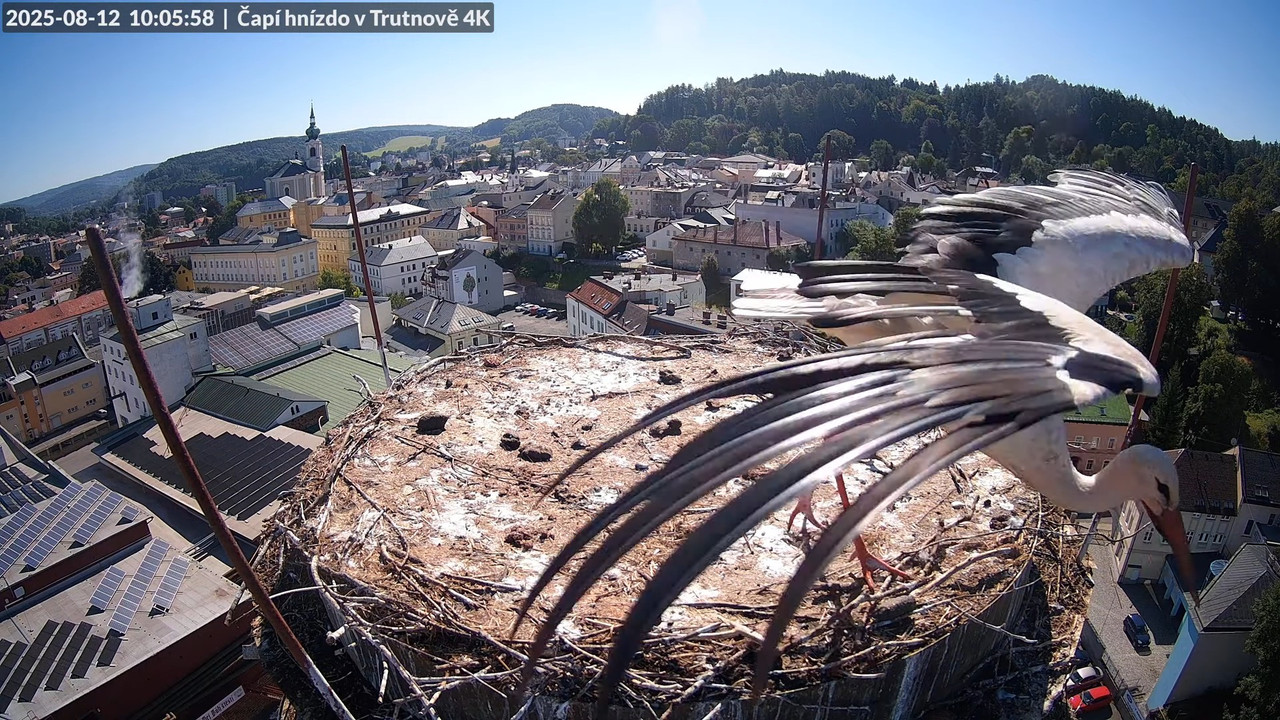 Tiešraide no stārķa ligzdas uz alus darītavas skursteņa Trutnovā 14-23-53 screenshot