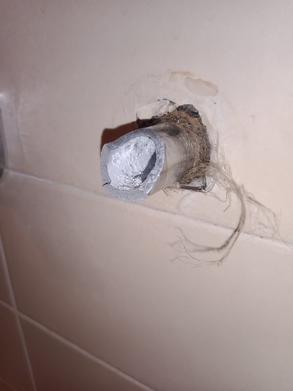 IMG_20230811_171431758