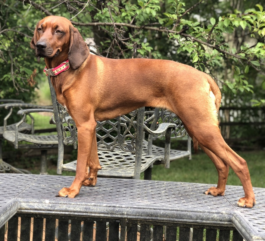 AB88EFCA-3ACF-44F9-9E78-2B318A08E28C