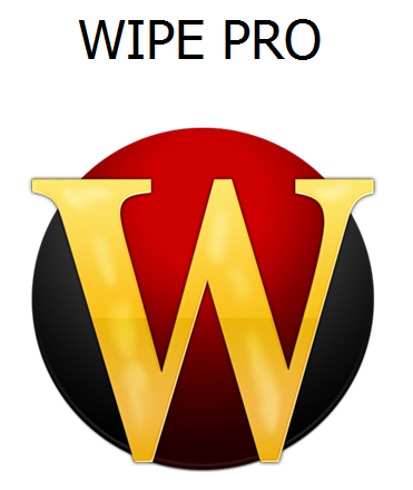 Wipe Professional 2022.28 Multilingual