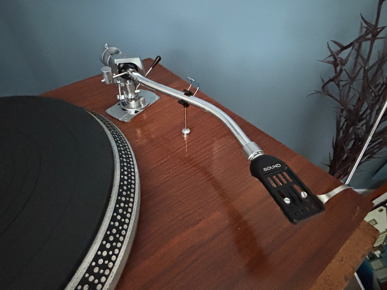 [Bild: IMG-5998.jpg]