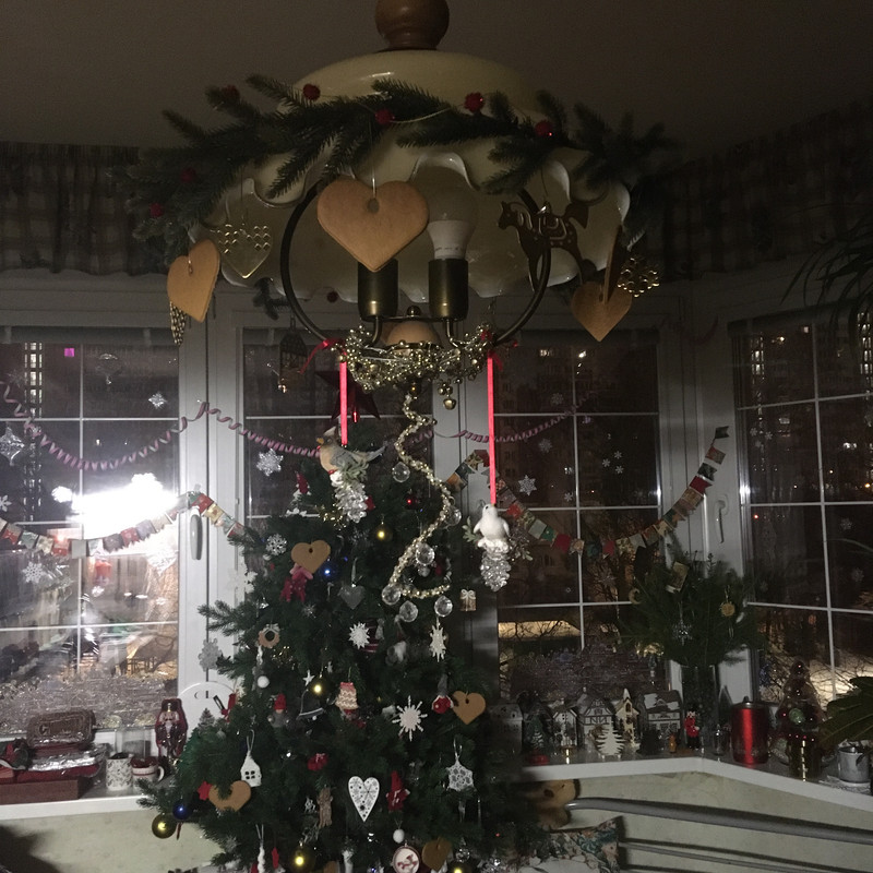 пред рождественское с айфона 229