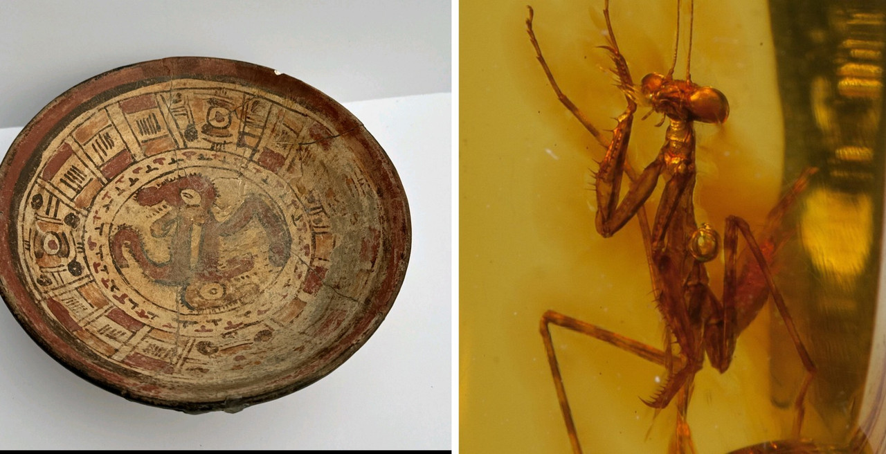 imgonline com ua twotoone g Dg747JP1Vkjajv