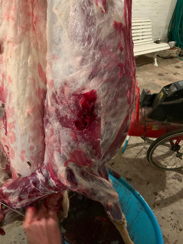 C5F58FD1-3C74-4F48-8891-8071C982FAEF