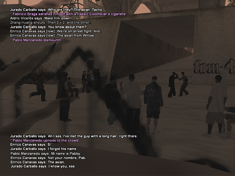 SS1.png