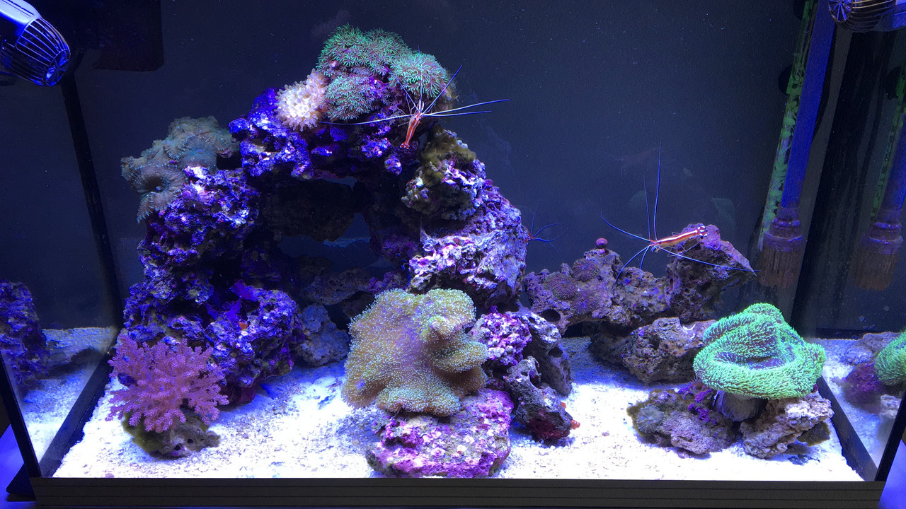 E63971CC-C1C9-45D4-8810-46A02A14F726