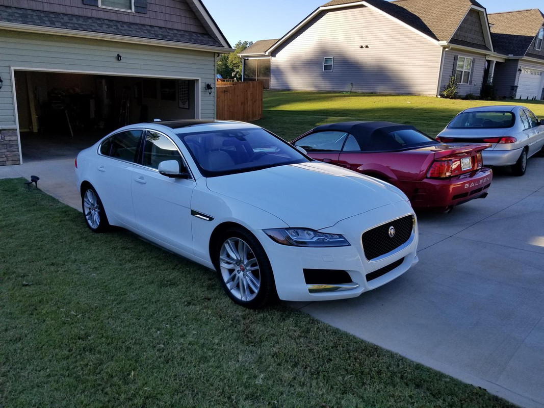 Jaguar1