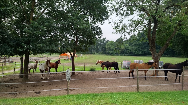 IMG_20170716_1056492