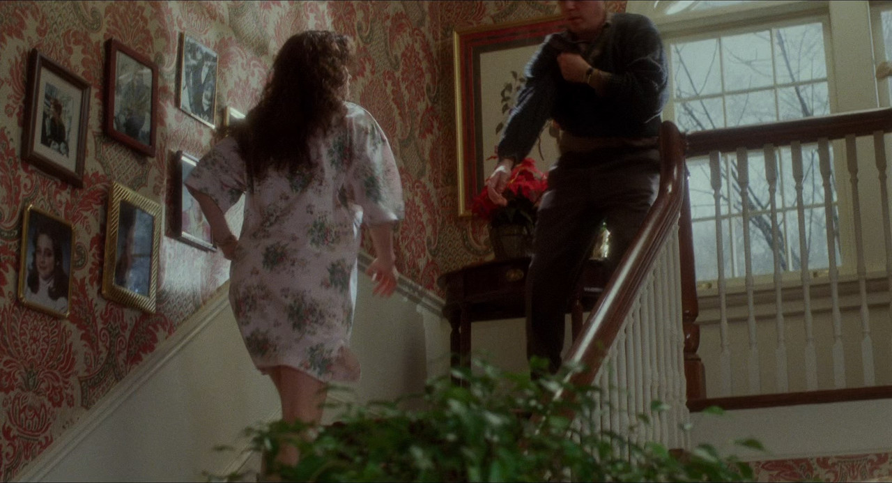 Home Alone 1990 (1080p x265 10bit Tigole).mkv_snapshot_00.14.51_