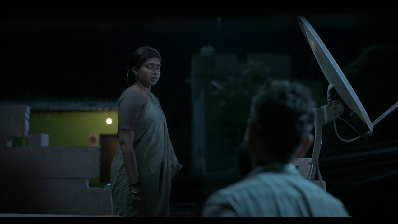 vlcsnap-2025-04-24-21h03m30s944