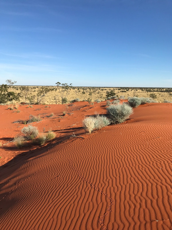 2019-Madigan-Line-Simpson-Desert-TRIP-2822.jpg