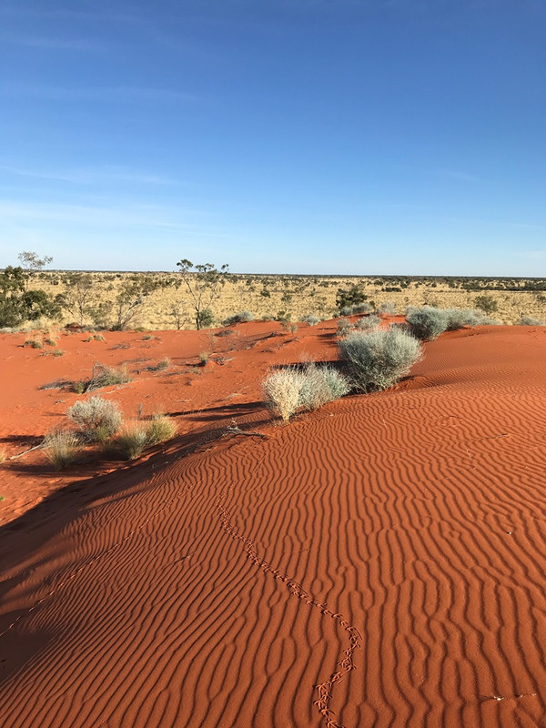 2019-Madigan-Line-Simpson-Desert-TRIP-2822.jpg