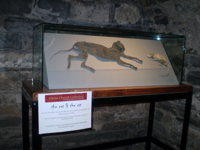 "Slonsha" desde Dublin - Blogs de Irlanda - Cuarto día: De museo en museo. (7)