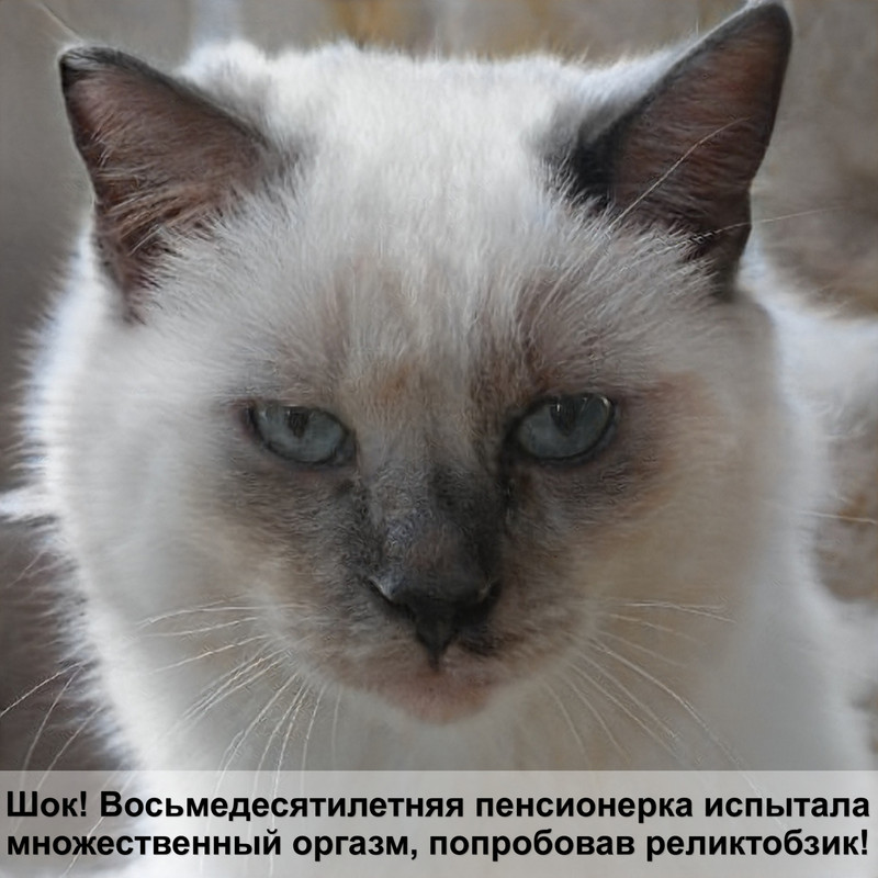 жидкий корм для стерилизованных кошек