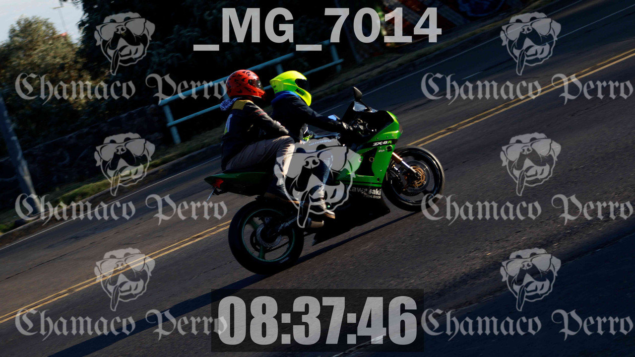 MUESTRA MG 7014 — Postimages