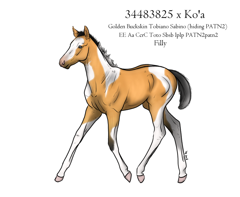 moonlit-filly1.png
