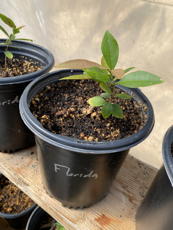 F2425EA1-F063-4AE4-952B-969A07C78079