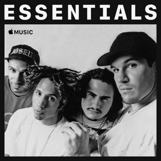 Rage Against the Machine - Essentials (2020).mp3 - 320 Kbps