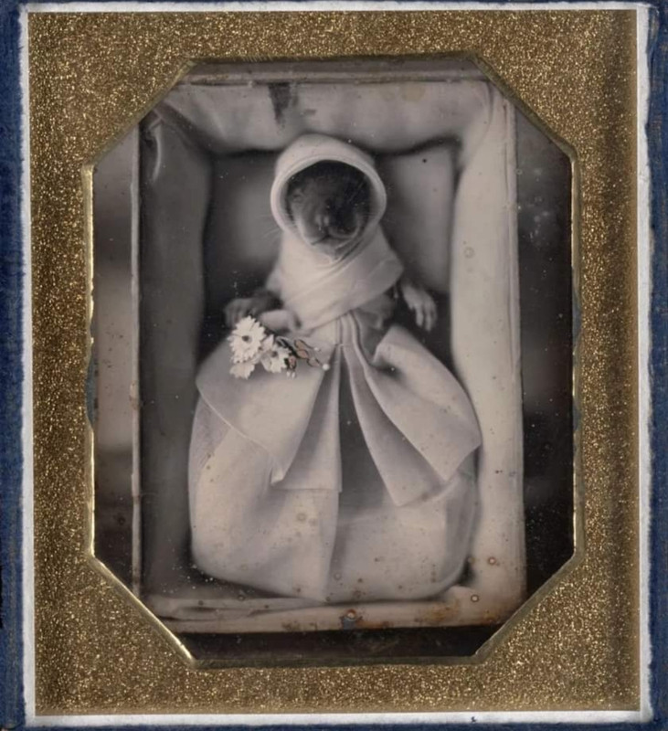 Screenshot_2024-06-13-10-12-54-526_com.facebook.katana-edit