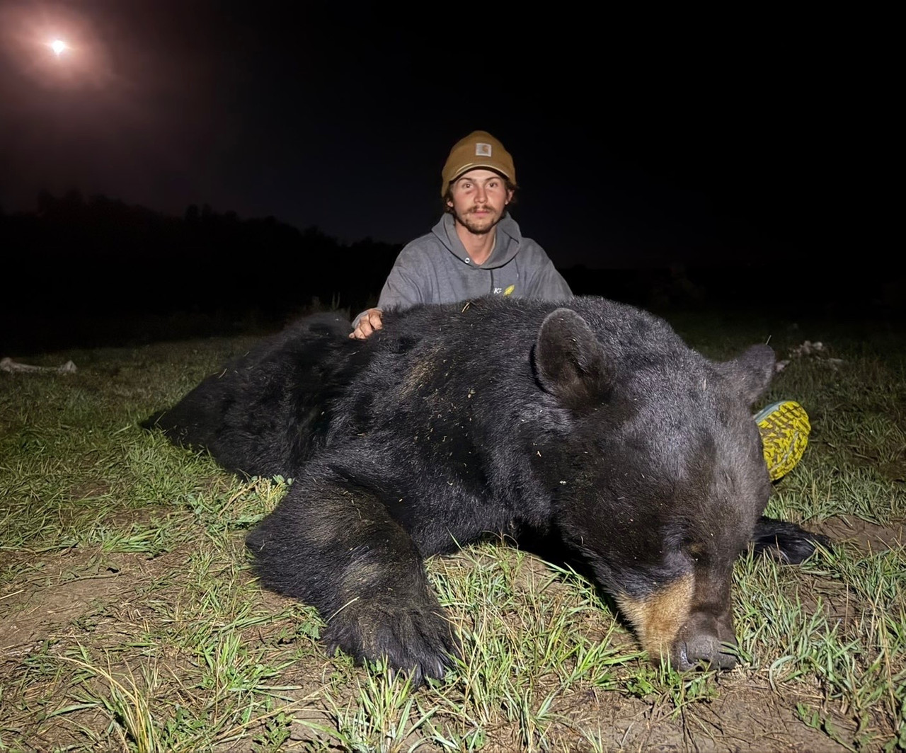 black bear john