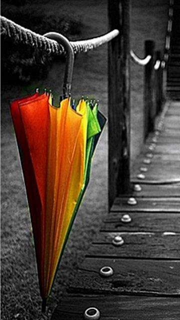 multi-brolly-new.jpg