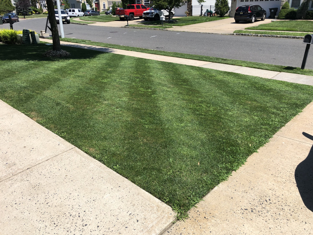 2F1A3AFE-EAEB-4991-9E56-6564EC40444E