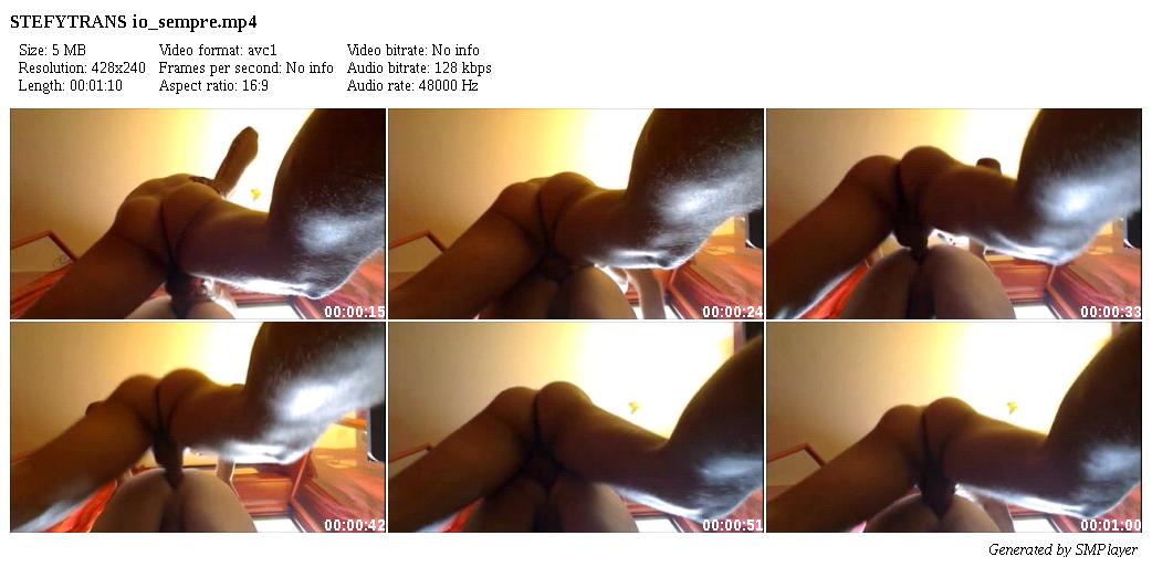 STEFYTRANS io_sempre_preview
