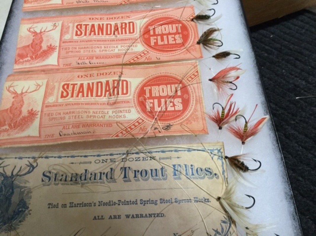 2A3FA627-ACC5-4CA7-ACDD-23894A686E6A