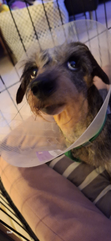 [Image: 20250221-205059.jpg]