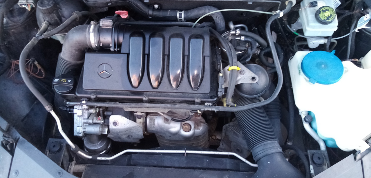 IMG 20251124 154445 resized 20251124 035254911