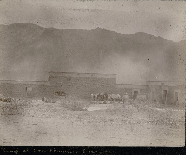 Lumholtz — fotografía Granados