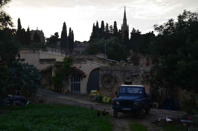 GHAXAQ/TARXIEN-20-11-2018 - Malta y sus pueblos-2018 (32)