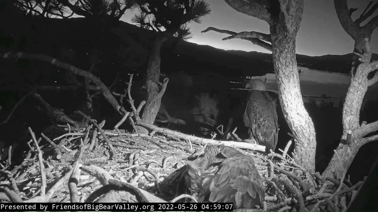 Webp.net-gifmaker (9)